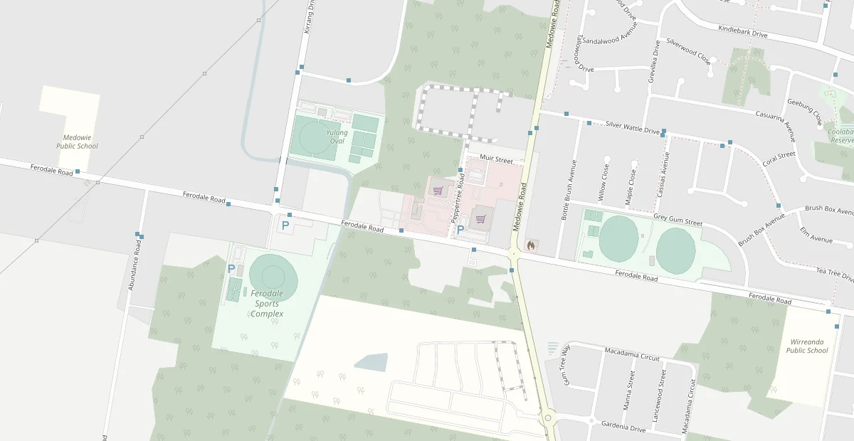 Local street map centred on the CPSA Medowie clinic at Shop 12, 37 Ferodale Road.